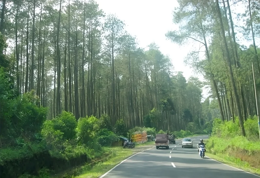 tangkuban perahu lembang